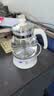 金灶（KAMJOVE） 养生壶煮茶器喷淋式煮茶炉白茶壶黑茶壶办公室家用蒸汽煮茶壶1L 白色 1L 实拍图