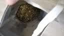 绿盼纯羊粪发酵有机肥颗粒2.5斤营养土家庭种蔬菜绿植盆栽专用 实拍图