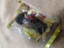丙田 三炮台900克 老兰州味甘肃特菊花三泡台产盖碗茶伴手礼盒八宝茶 实拍图