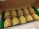 佳沛（zespri）新西兰阳光金果10个装单果重约103-114g 水果礼盒 猕猴桃水果礼盒 实拍图