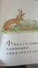 信谊世界精选图画书 猜猜我有多爱你 儿童绘本3-6岁 全球畅销5000万册 朗读者推荐儿童书单 名师梅子涵推荐 儿童故事书  实拍图