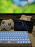 飞智冰原狼4多模版无线游戏手柄 类xbox 力调节摇杆双切扳机 switch电脑PC手机steam体感NS 仁王3 实拍图