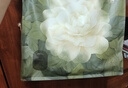 babycare山茶花一次性内裤女孕妇月子待产出差旅行XXL码30条【 安全灭菌】 实拍图