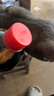 加加 精选系列 醇酿生抽800ML【0添加 特级】0添加白砂糖 酿造酱油 实拍图