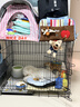 宠乐乖（CHONGLEGUAI）狗笼猫笼狗笼子中小型犬带厕所幼犬折叠便携猫笼子猫咪兔笼850ZG 实拍图