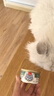 顽皮（Wanpy）泰国进口猫罐头85g*6罐 吞拿鱼明虾罐头 成猫宠物猫咪零食湿粮 实拍图