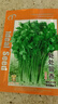 ldeal理想农业 四季小香葱种子阳台盆栽种植蔬菜种籽小葱种子 约1500粒 实拍图
