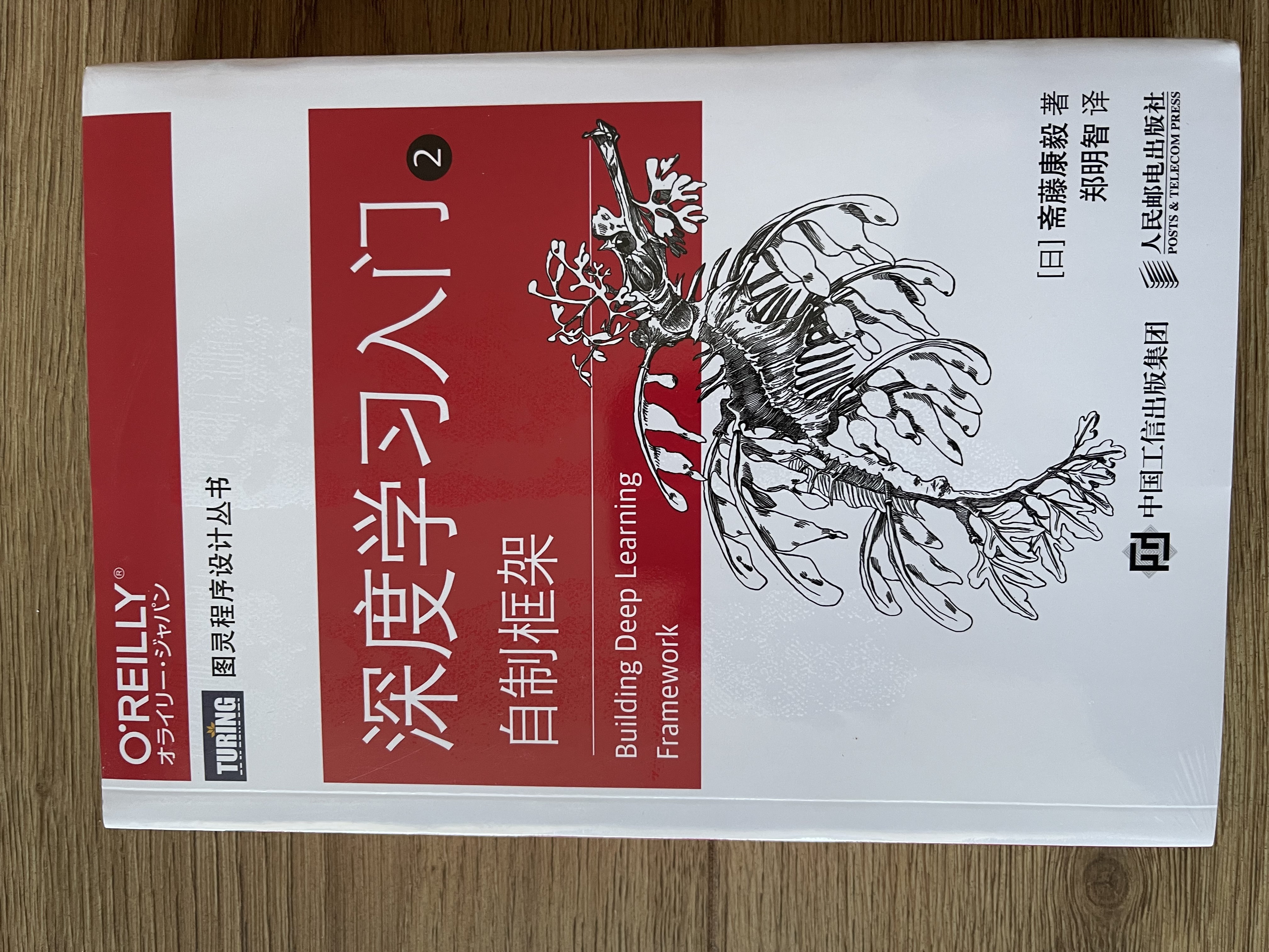 深度学习入门全套：Python理论+框架+NLP+强化学习 京东套装4册（图灵出品） deepseek教程 实拍图