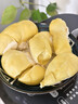 飞鹤星飞帆CBP骨骼发育儿童成长奶粉4段(3-6岁)750g*1赠750g*1罐 实拍图