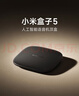 小米盒子5 双频wifi6 智能网络电视机顶盒 杜比全景声 4K分辨率 高清网络播放器 无线投屏 实拍图