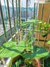德沃多4L植物营养土通用养花土种菜有机土壤泥炭土绿植盆栽种植土椰糠 实拍图