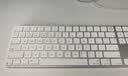 【95成新】Apple/苹果 妙控键盘-中文(拼音)带有触控ID和数字小键盘(USB-C端口)蓝牙键盘无线键盘办公键盘-白色   实拍图