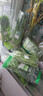 【烧烤季】钟灵山罗马生菜400g 实拍图