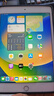Apple 苹果平板电脑 iPad mini5 二手平板电脑 银色 64G WiFi 实拍图