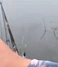 川泽鱼钩散装三角牙袖钩钓鱼钩伊势尼伊豆新关东海夕有刺无倒刺鱼钩 【袖钩三角牙】有刺(50枚装) 10号 实拍图