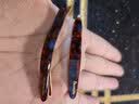 东义严选醋酸法式碎发夹侧边刘海夹子女新款一字夹发卡头饰中秋节礼物 实拍图