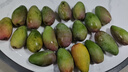 攀枝花凯特芒果台农芒应季热带时令芒果水果整箱送礼 净重4.5-5斤单果400g 实拍图