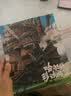 哈尔的移动城堡 宫崎骏作品 吉卜力官方审核认定唯一简体中文版绘本 实拍图