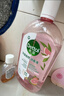 滴露（Dettol）衣物消毒液自然香氛洗衣除菌液 除螨除异味去汗臭48H留香1000ml*1 实拍图