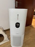 东芝（TOSHIBA）加湿器空气净化器无雾加湿净化一体机除花粉过敏源除醛除菌除敏母婴消毒杀菌大白梨Pro【价保618】 实拍图