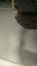 康宝（Canbo）家用大容量304不锈钢嵌入式巨量磐石三层消毒柜二星级碗筷消毒碗柜政府补贴XDZ110-EN321 PRO 实拍图