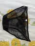 莫代尔 女式内裤轻薄舒适透气性感诱惑迷人少女蕾丝无痕三角裤 自选下单留言货联系客服备注 3条 M 体重80-120斤 实拍图