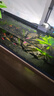 墨斗鱼黑色玻璃贴膜鱼缸背景贴纸0.6*2米水族专用不透光遮光贴纸全遮光 实拍图