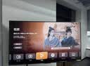 华为Vision智慧屏 5 SE优享版 65英寸【价保618】 鸿蒙AI搜片  智能投屏超清智能液晶平板电视机 实拍图