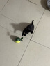 HELLOJOY猫玩具自嗨解闷逗猫棒不倒翁漏食球猫薄荷宠物猫玩的猫咪用品大全 实拍图
