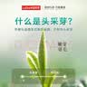 乐品乐茶2026新茶头采芽特级碧螺春绿茶明前高端茶叶礼盒装送礼自己喝250g 实拍图