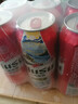 乌苏啤酒（wusu）京东自营大红乌苏风景罐婚宴500ml*12罐整箱装踏青出游 晒单实拍图