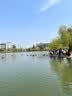 德玛纳【氧气纯棉】夏季时髦简约圆领绣花撞色拼接宽松显瘦t恤女高级感 实拍图