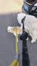 宝路狗粮全犬种通用全价粮成犬狗粮中小型犬牛肉味7.5kg【原料透明】 实拍图