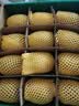 佳沛（zespri）新西兰 阳光金奇异果12粒特大果单果124-146g 猕猴桃水果礼盒 实拍图