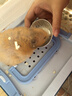 宅小宠宠物恩诺沙星片猫尿路感染尿道炎狗狗皮肤病产后消炎绝育消炎药 实拍图