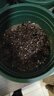 德沃多蔬菜营养土15L带肥料 园艺种菜土壤阳台盆栽蔬菜通用型 实拍图