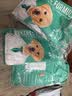 凯锐思幼犬粮通用泰迪比熊柯基系小中大型犬牛肉味狗粮2kg*3 实拍图