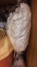 五月花超细纤维拖布头5只装替换旋转拖把头吸水墩布头替换装 实拍图