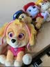 汪汪队立大功（PAW PATROL）毛绒玩具陪睡玩偶经典款天天中号坐姿公仔男女孩儿童生日礼物 实拍图