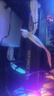 技嘉（GIGABYTE）5060 8G显卡 猎鹰MAX GeForce RTX 5060 Eagle MAX OC 8G DLSS4游戏设计OpenClaw龙虾本地部署显卡 实拍图