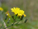 荣耀Magic8 Pro 第五代骁龙8至尊版 2亿超夜神长焦智能手机 AI 5G智能 旗舰店 绒黑色 12G+512GB 实拍图