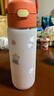 膳魔师（THERMOS）儿童水杯tritan便携塑料直饮杯小学生开学必备小熊猫水壶600ml红 实拍图
