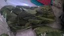 大菠菜300g 实拍图