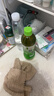 樱之花防蛀防霉片剂衣柜防虫防潮卫生球丸家用室内驱虫除臭樟脑香樟木条 【家庭装】500g*1袋 晒单实拍图