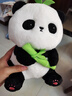 名创优品（MINISO）坐姿熊猫毛绒公仔毛绒玩具玩偶布娃娃抱枕送儿童节礼物生日礼物女 实拍图