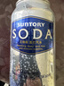 三得利 suntory 苏打汽水 SODA Water  碳酸水 原味气泡水 320ml*24罐 实拍图