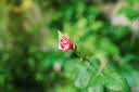 松下S5M2K+（50mm F1.8）白盒  双镜头套装 全画幅微单相机 约2420万有效像素 相位混合对焦 实拍图