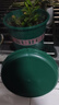 花盆绿植盆栽加厚塑料简约多肉小盆阳台客厅月季玫瑰大号家用花盆 高款2加仑(口径22cm)2个盆 配套托盘 实拍图