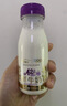 每日鲜语A2β-酪蛋白鲜牛奶185ml*6瓶定期购定期配送到家 实拍图
