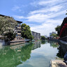 福建杨桃 现摘杨桃 新鲜水果 五角星杨桃 鲜甜多汁 水果 净重2斤 杨桃单果130g+ 实拍图